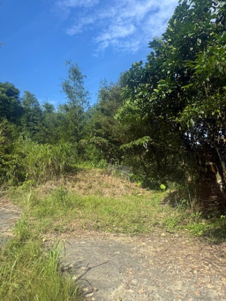 20250601 柑柑柑腳山2801033