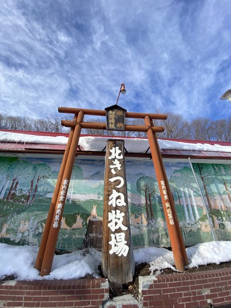北海道------雪祭3001925
