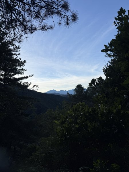 1141108-09桃山單攻2935960