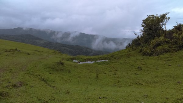 【東北角生態步道尋寶石】 桃源谷步道內寮線,草嶺線,大溪線 3-1963234