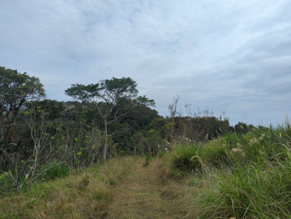 2025.02.27－月眉山2727902