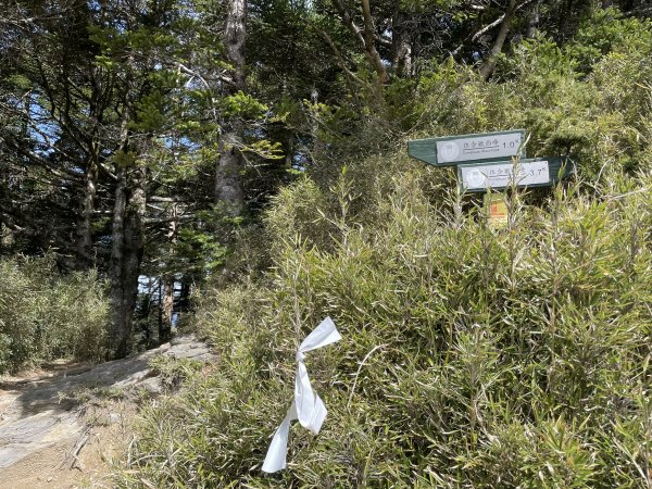 合歡北、西峰(三訪)113.04.212492793