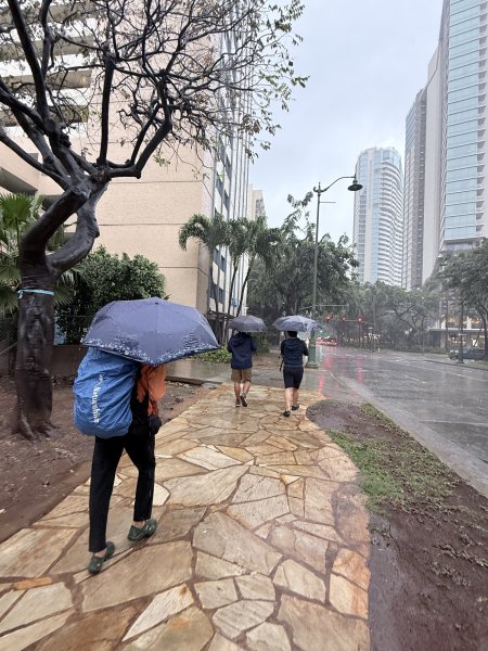 鑽石頭山及珍珠港悠遊  2026.2.213012712