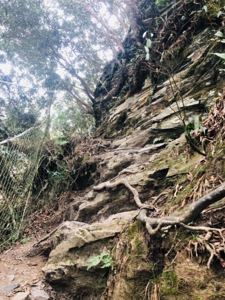 2019/03/02 北大武542004