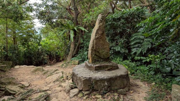 114.09.14青龍嶺-秋壇山-鎮遠山-大青坑崙-三角埔頂山之旅(二)2884592