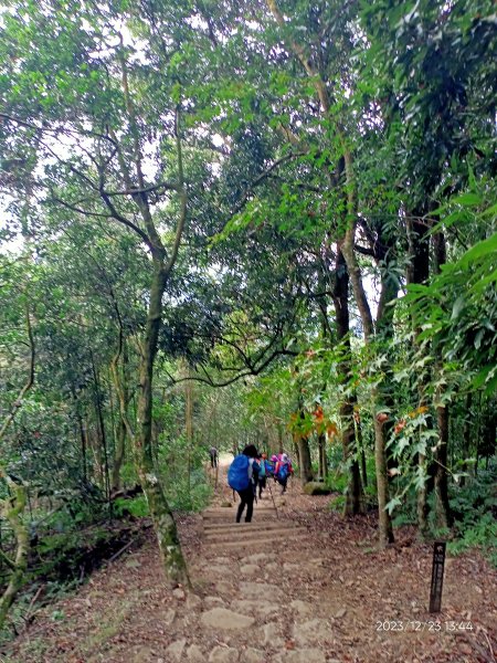 四訪苗栗的花果山-小百岳#037馬那邦山、雪霸國家公園管理處【小百岳集起來、苗栗-臺灣百大必訪步道】2394373