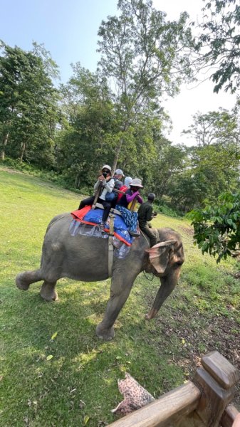 尼泊爾奇旺國家公園4天三夜2788897