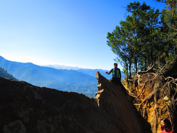 【新竹尖石】還記得北得拉曼山 這一季黃金山毛櫸的璀璨1183352