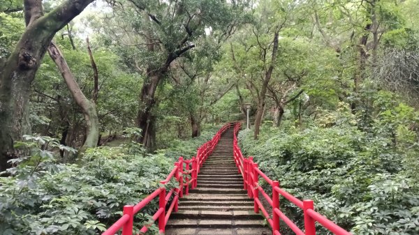 楊梅區龜山頭山-福人步道-莊迷湖-保甲路古道-東森山林森林步道-福人步道3074655