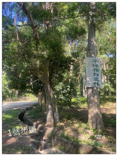 301次登三汀山(小百岳)2642409