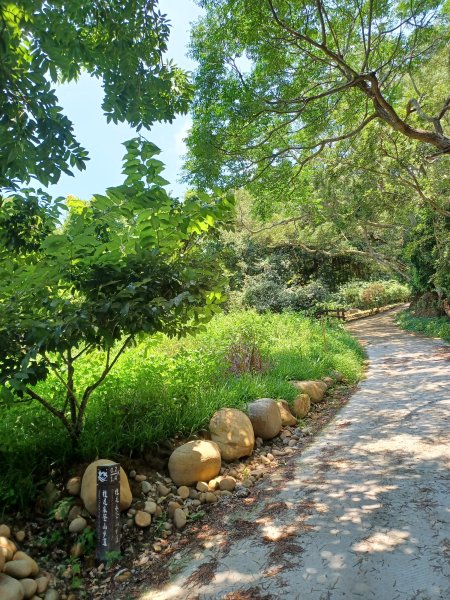 【台中大甲】規劃完善的親民步道。 桂花泉登山步道2862461