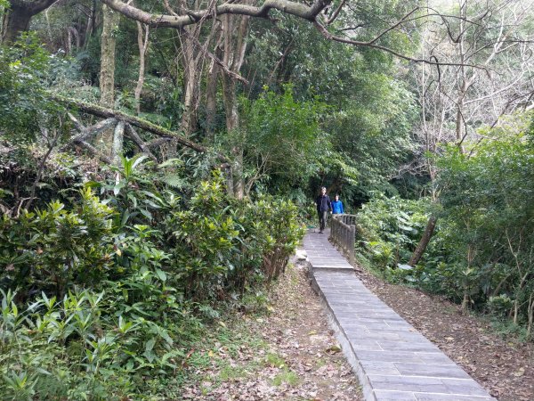 南港山攀岩步道探察 & 四獸山步道1423218