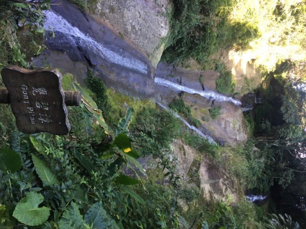 北得拉曼神木步道、內鳥嘴山、山毛櫸、瀑布2348748