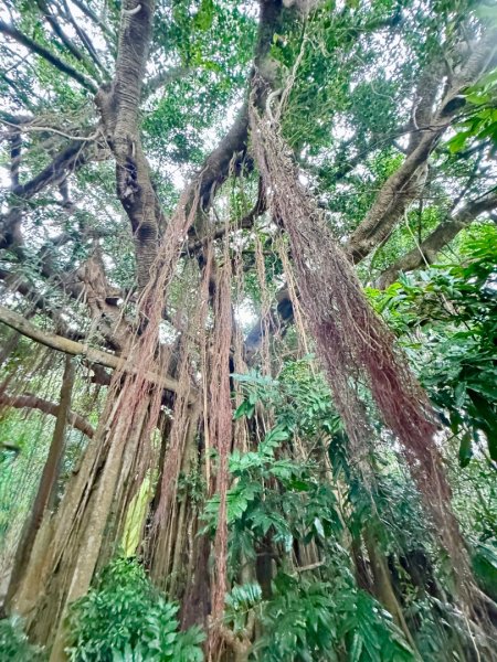 北壽山走壽山(小百岳#77) 龍泉寺起登出千光宮2934455