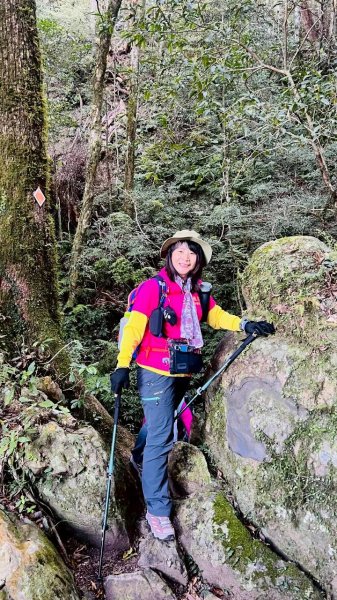 🌈3/14（六）赫威神木群+赫威山✨FB：熊熊趴爬走🌈3015368