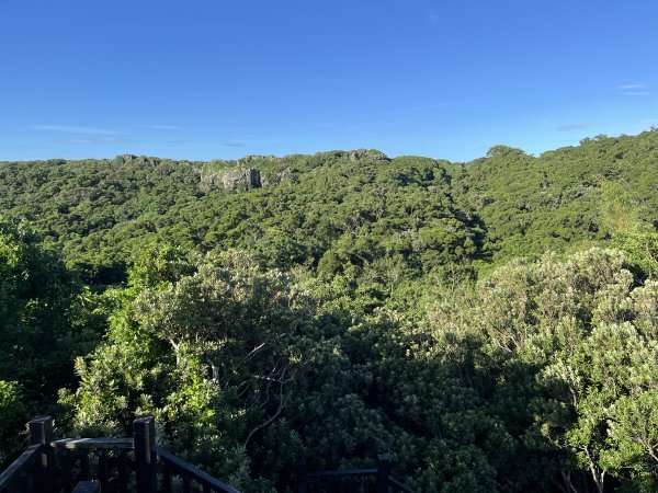 [屏步青雲 尋寶任務-07/10] 2024_1006 社頂自然公園步道2616865