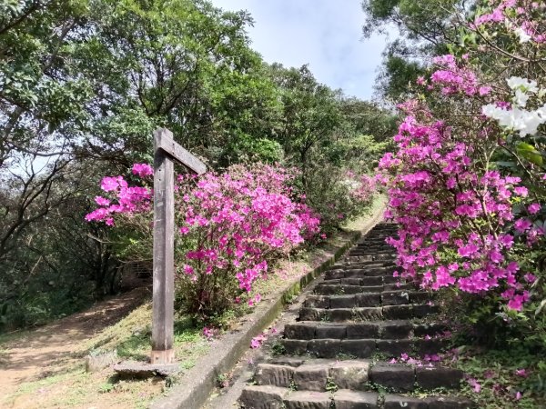 瑞芳區基隆山步道O型3010155