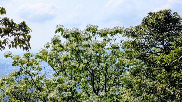 大尖山。走向2770871