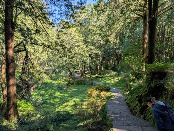 二訪阿里山國家森林遊樂區之大塔山對高岳之旅2991635