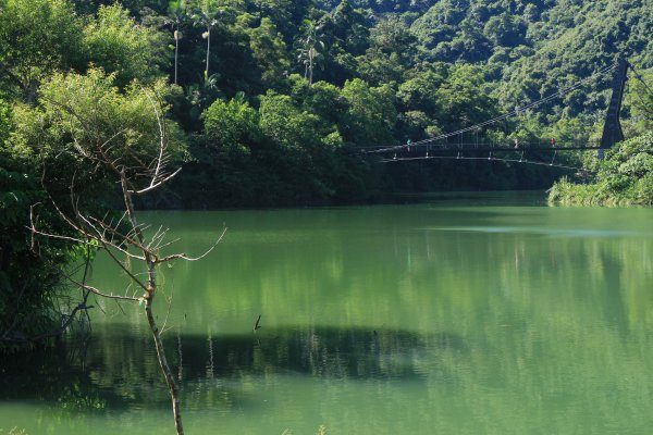 梅花湖環湖美的不要不要 20190901673481