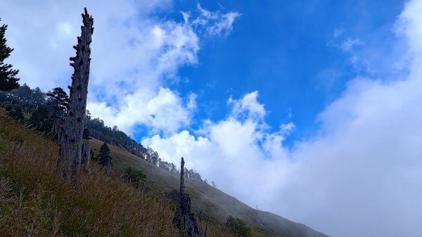 雪山西稜3135060