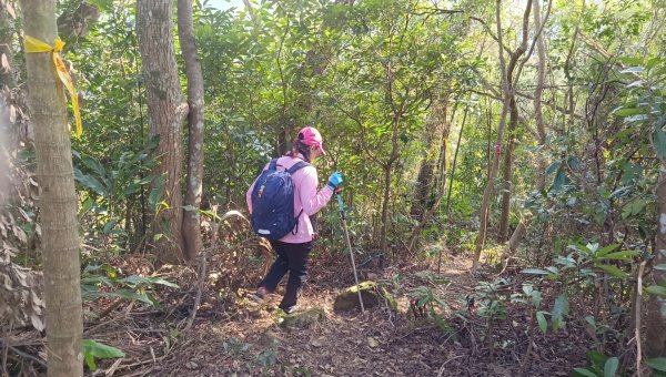 (姨婆趴趴走)第四十六集:新竹關西赤柯山及南峰、東西獅頭山、馬福山環狀縱走2685810