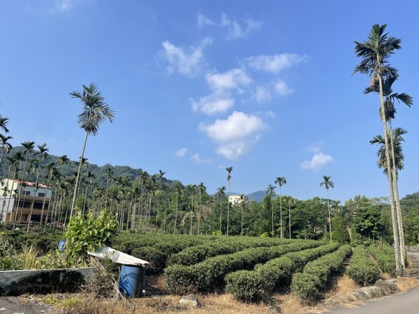 雙港仔群峰2794246