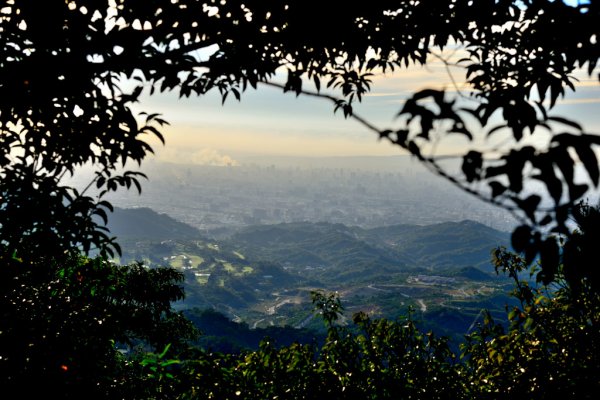 南觀音山,大坑4號頭嵙山545314