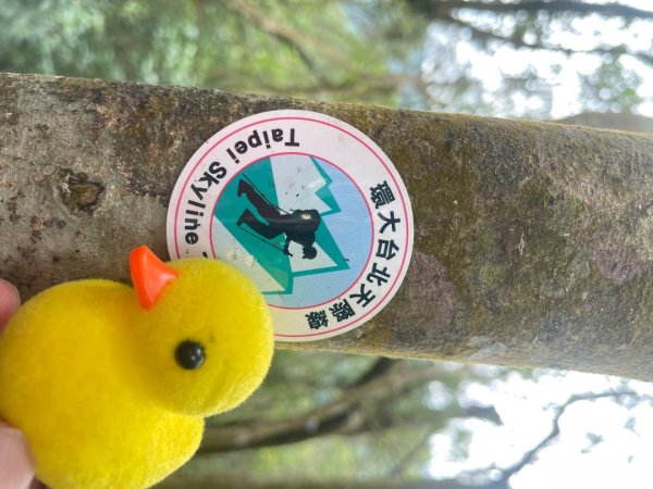 微笑山⛰️線-大棟-二格山-五分山-天上山-鳶山💎12條步道完成💙2834179