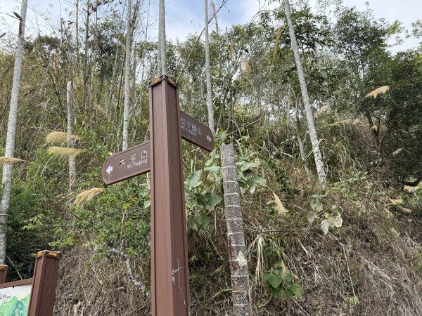 1150322雲嘉8連峰3023005