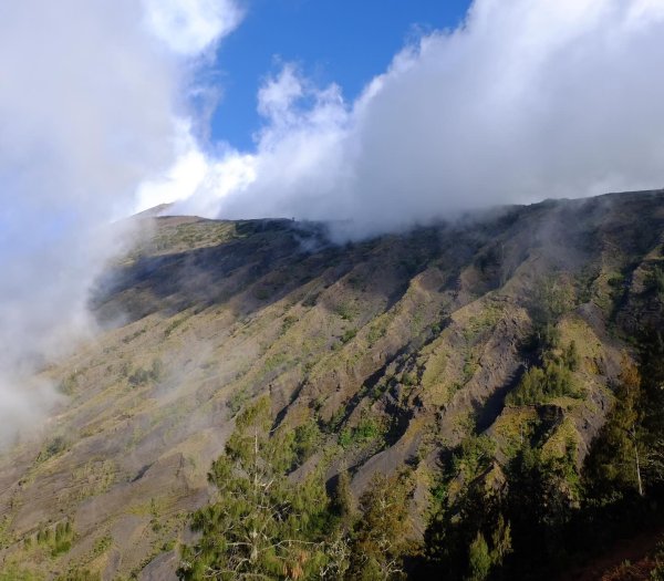 林賈尼火山之旅2531446