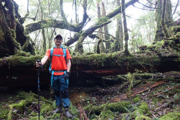 塔曼山，玫瑰西魔山 106.5.7(日)128623