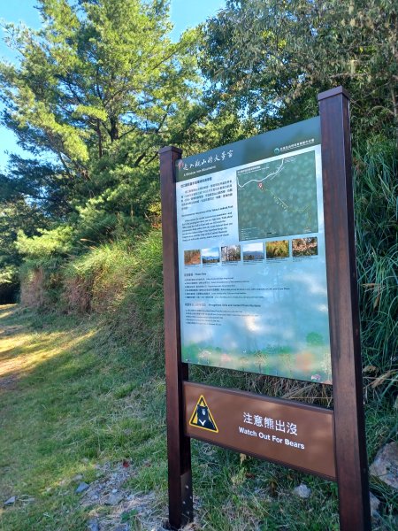 【台中和平】大雪山啞口觀景台步道2933075