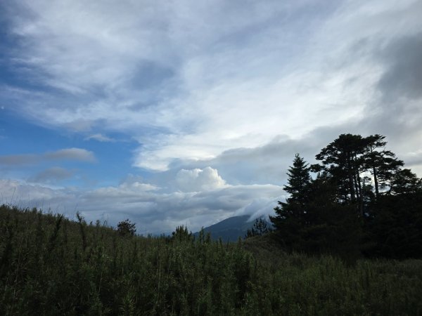 志佳陽大山（回程走高繞環山獵人登山步道）2542202