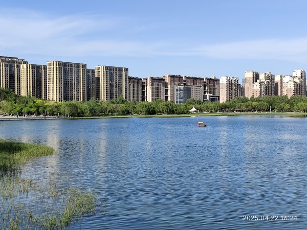 中國山東淄博海岱樓鍾書閣 - 中國最美書店；知味齋大飯店；夜訪周村古大街、開葷燒烤2776647