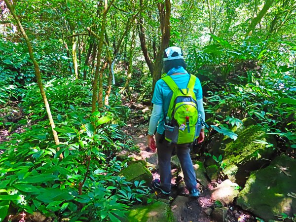 夏日水圳古道之旅：走坪頂古圳步道消暑去637493