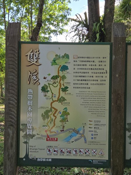 雙溪樹木園>九芎山>九茶山來回2772123