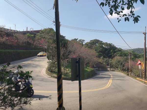 ~ 烘爐地登山步道(南勢角山) ~1626934