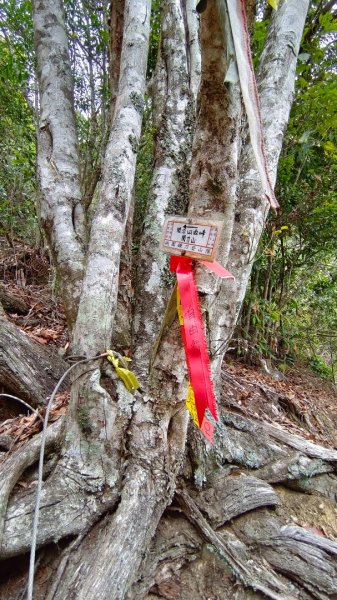 埔里六秀之3關刀山（順走關刀山西峰/西關刀山北峰）1644269