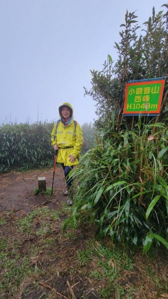 快閃雨中的小觀音山1870014