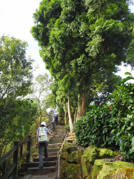 嘉義二延平步道觀雲瀑20181208478140