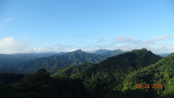 補考 - 艷紅鹿子百合656627