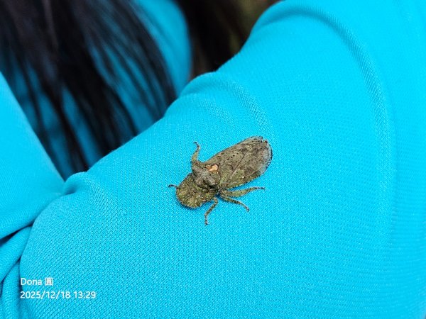 20251218小百岳暗影山+神駒野溪溫泉2971337