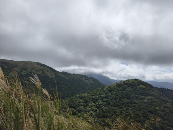 [百山百鳥尋旅-11/15] 2025_0927 大屯主峰-連峰步道_大屯山西峰2899467