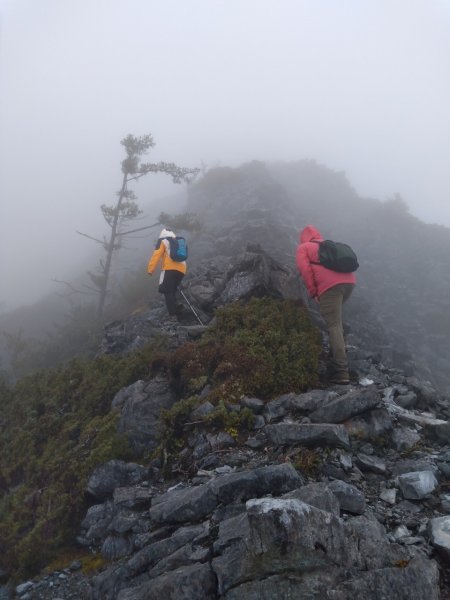 [花蓮中級山] 砂卡噹三雄 清水大山894471