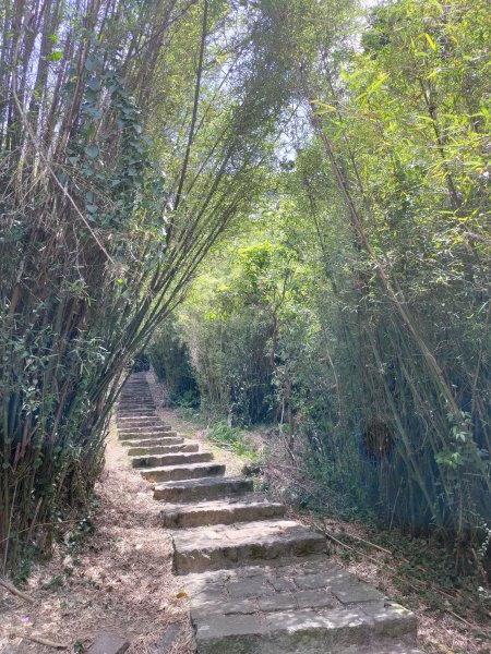 中正山步道-竹子湖來回1361642