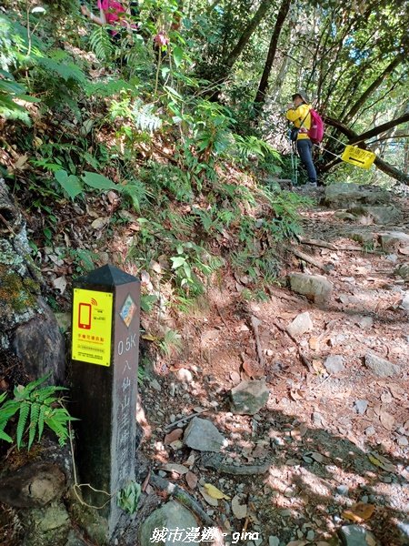 【台中和平】2022「谷關七雄，慢旅台中」登山活動認證。 沒有危崖攀爬就是一路陡。 谷關七雄~八仙山1827504