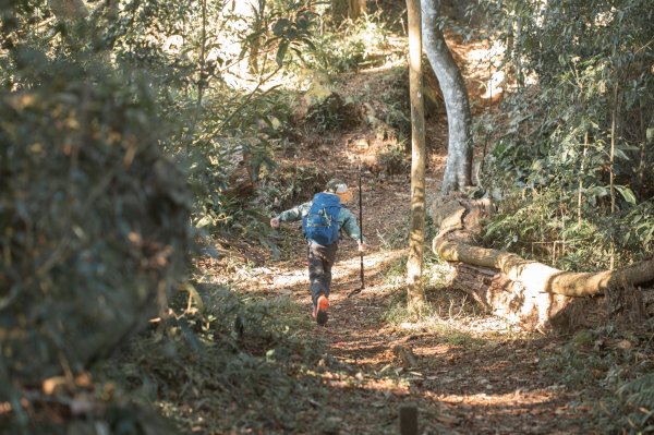 枕頭山古砲台歷史古道O型（含薑母島）2948471