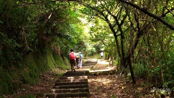 古道行~淡蘭古道->金字碑古道611882