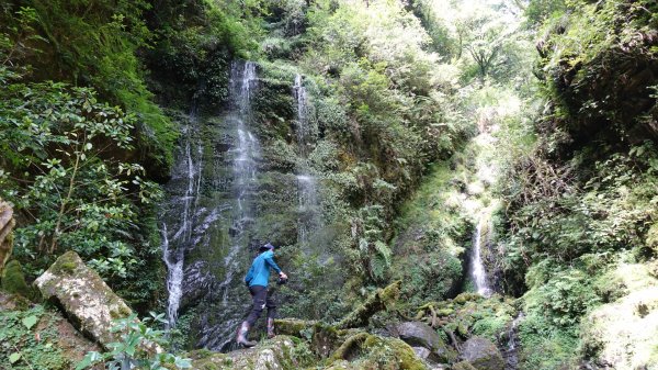 雙龍林道上巒安堂西巒大山1778740